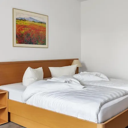 Πανσιόν Loewen